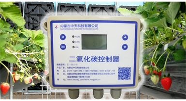 中國北方CO?新技術，將促進農(nóng)作物光合作用和光合產(chǎn)物的生成